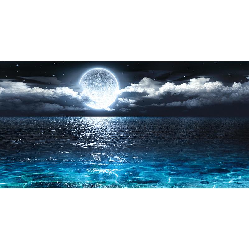 

5D комплект алмазной живописи Луна Ночной пейзаж Искусство Diy Алмазная вышивка Пейзаж Вышивка крестиком Гостиная Спальня Стена Домашний декор Full Round 30x60CM