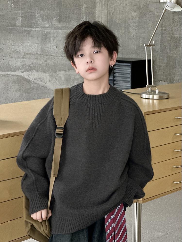 Men's Crew Neck Sweater: 2025 Autumn/Winter Casual Knit, Long Sleeve Pullover Loose Fit