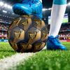 Fútbol – Pelotas de fútbol