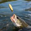 Colorful Slant Cut with Single Hook, Long Fishing for