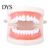 Teeth Protector Braces Heart Shape Cubic Zirconia Men Women Decoration Hip Hop Vertical Stick for Halloween Jewelry