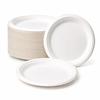 Eco Plate Made Of Sugar Cane Pulp