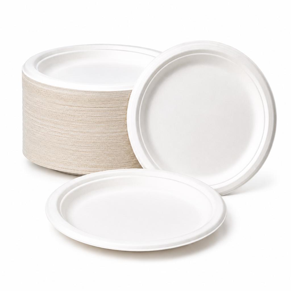 Eco Plate Made Of Sugar Cane Pulp