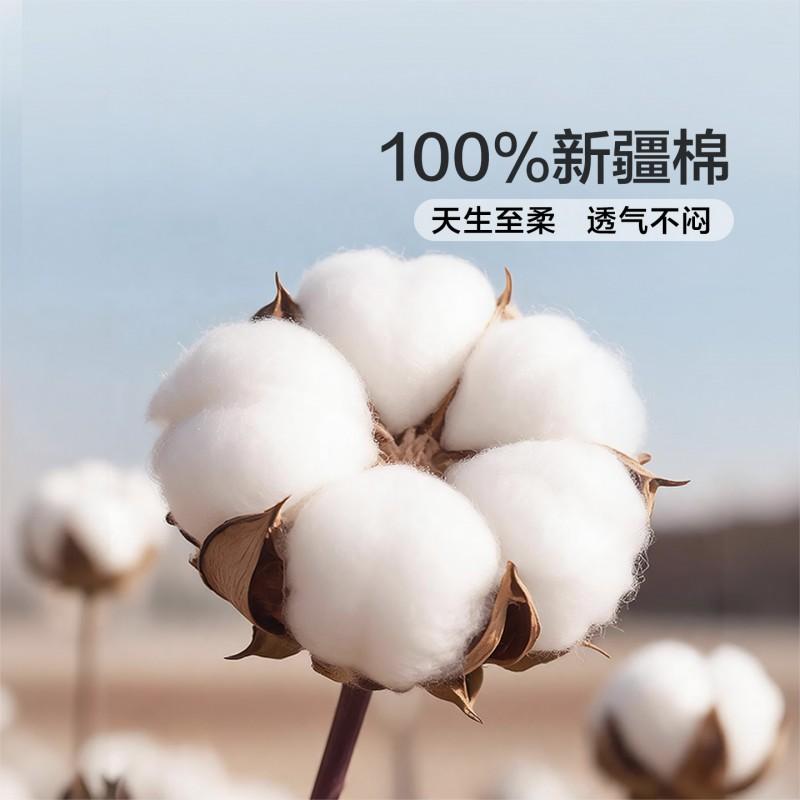 2-Pack 100% Cotton Pillowcases 48x74cm Plain Solid Color Bedding Students Home Use Soft Satin Weave