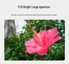 Yongnuo 16mm F1.8 Ultra Wide-Angle Prime Autofocus Lens for Sony E-Mount APS-C Mirrorless Cameras