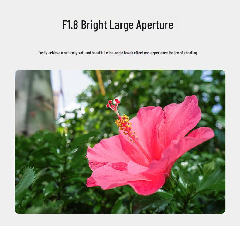 Yongnuo 16mm F1.8 Ultra Wide-Angle Prime Autofocus Lens for Sony E-Mount APS-C Mirrorless Cameras