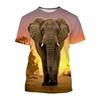 New Fun Animal Elephant Print Men's T-shirt with Street Elements O-Neck Plus Size Comfortable Top Short Sleeves