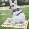 Breathable Mesh Cooling Pad for Cats and Dogs - Summer Ice Slippery Fabric, Rectangular Pet Bed To Keep Pets Cool and Comfortable, Dog Cooling Pad