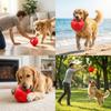 Yumuşak Kettlebell Yüzen Köpek Oyuncağı Isırığa Dayanıklı Plastik Havuz ve Kara İçin Top Diş Temizleme Dokulu Güvenli Etkileşimli Eğitim Köpek Oyuncağı