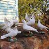 Resin White Pigeon Figurine for Outdoor Garden Decoration