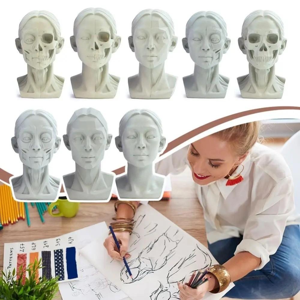 Still Life Ornament Planar Head Model Resin Skecthing Painting Sculpture  for Art Beginner
