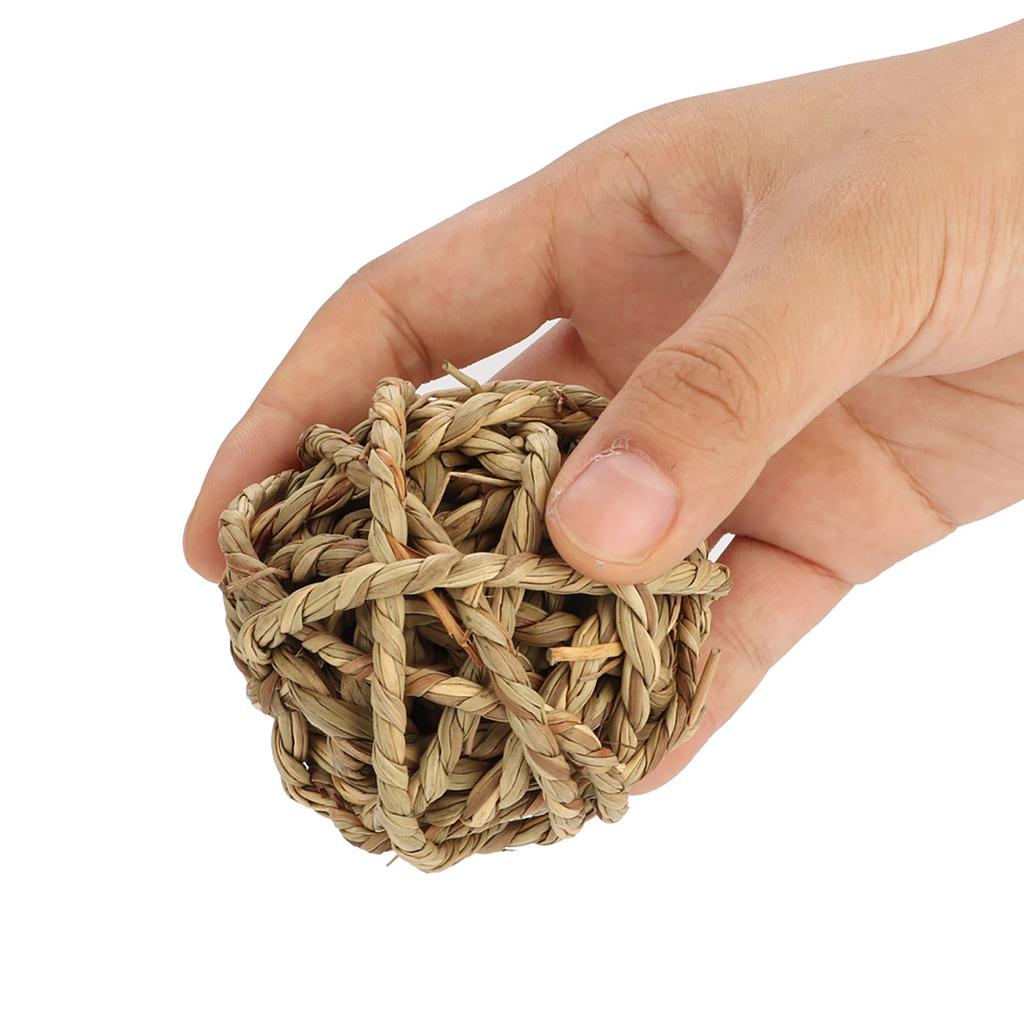 4Pcs Small Animal Activity Toy Pets Chew Balls Bunny Rabbits Guinea Pigs Gerbils