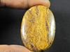 ?Natural Marium Fossil Multi Color Loose Cabochon Gemtsone 33X46X06 MM SK-1092