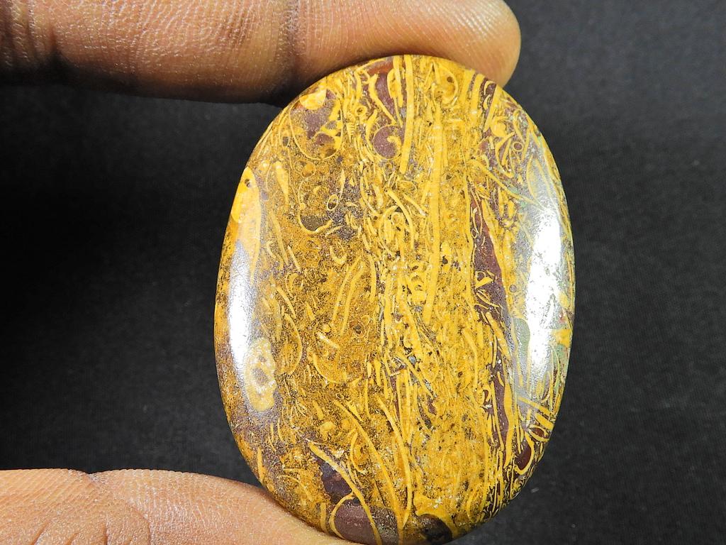 ?Natural Marium Fossil Multi Color Loose Cabochon Gemtsone 33X46X06 MM SK-1092