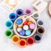 Early Education Wooden Set, 12 Colors, Ball and Cup, Color Classification, Bead Clamping, Color Recognition Matching, Educational Toy