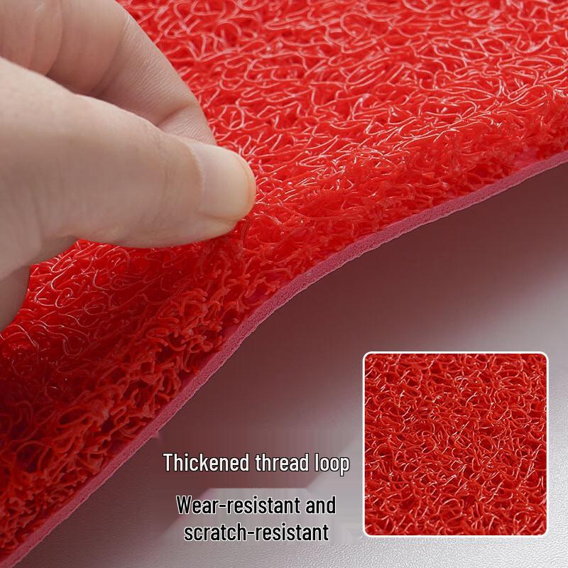 Commercial Entrance Dust Control & Waterproof Mat