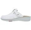 Scarpe da donna – Sneakers