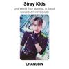 Stray Kids 2nd World Tour MANIAC In Seoul RANDOM PHOTOCARD Official Photocard