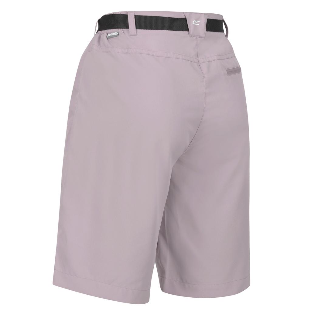 Regatta Womens/Ladies Xert Stretch Shorts