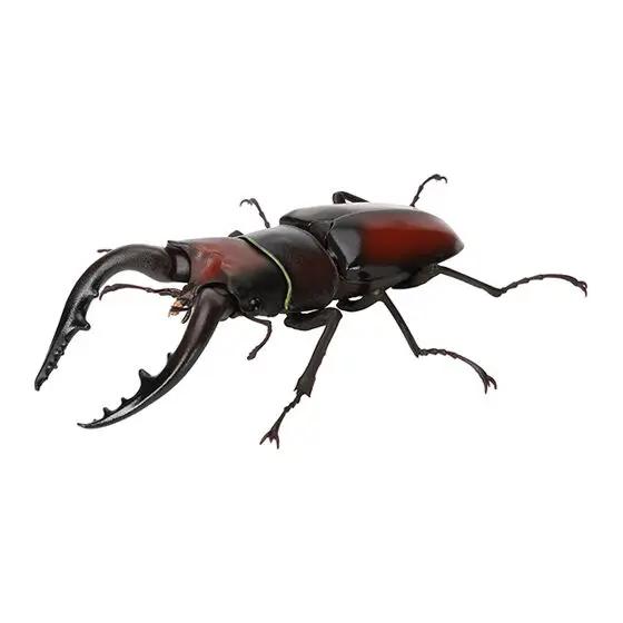 Genuine Gacha Scale Model Biological Cognitive Model Antler Beetle Simulated Moving Insect Action Figure Toys