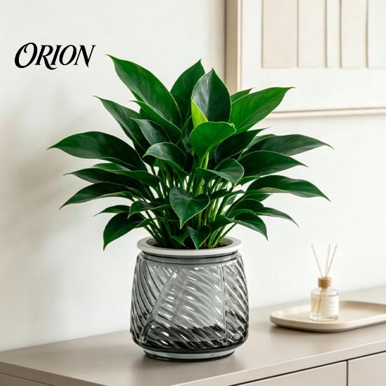 Deep Soil Planting Basin Self Watering Planter with Wick Rope for Indoor Plants, Double Layer Pot Home Transparent Hydroponic Planter, Decorative