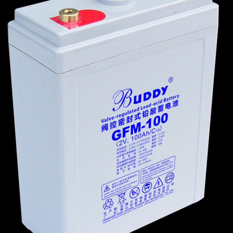 BUDDY Lead Acid Battery 2