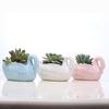 Creative Succulent Ceramic Flower Pot Japanese Grocery Balcony Cartoon Swan Flower Pot