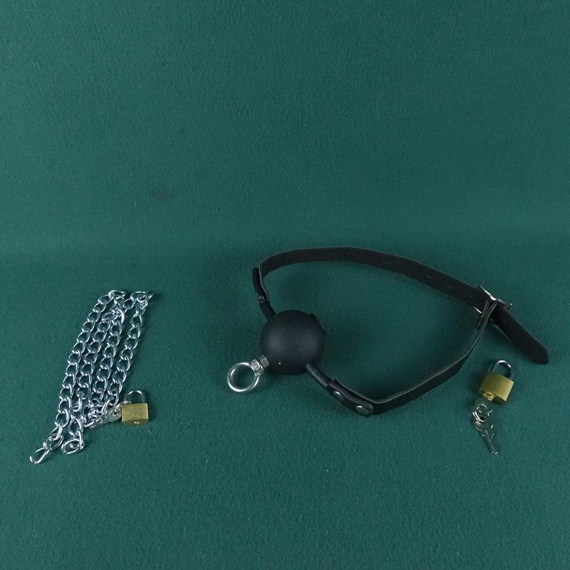 Lockable Anti-Vomiting Dog Muzzle Gag - Large Size with One-Word Strap for Kinky Outdoor Use