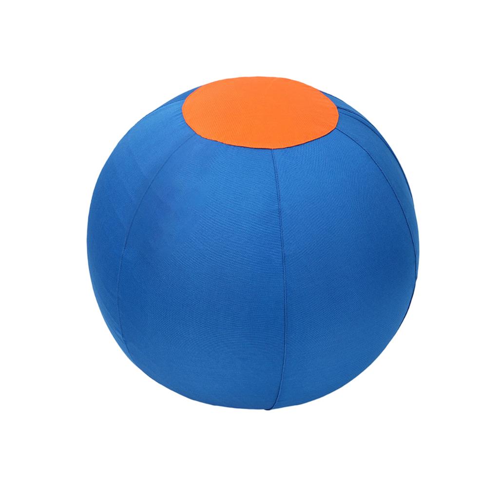 Jolly Ball with Protective Cover & Pump Dog Ball To Keep Them Busy for Collie Shepherd All Herding Breeds