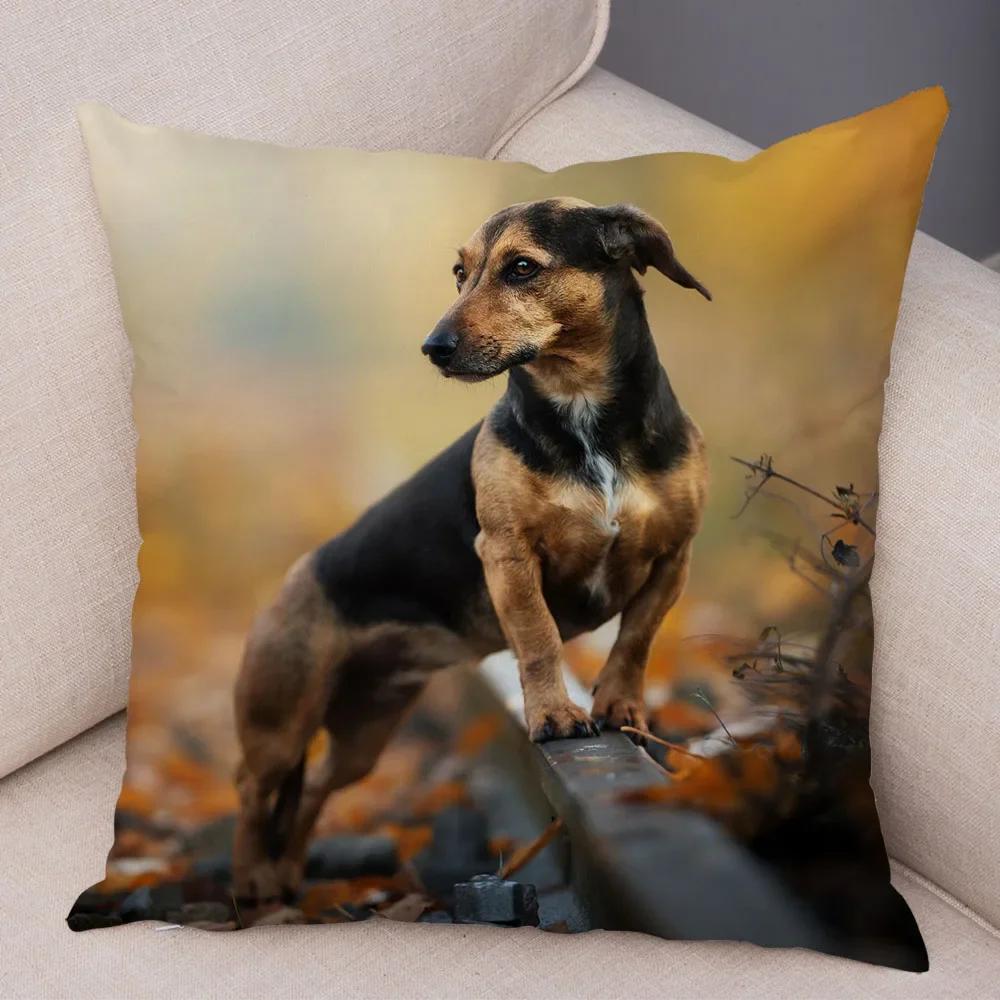 

Mini Dachshund Dog Cushion Cover Decor Pet Animal Pillow Cases Super Soft Plush Pillowcase for Sofa Home Children Room ,(5) 66x66cm