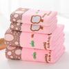 Four Seasons Thickened Polyester/Nylon Hair Drying Towel Set with Appliqué Embroidery