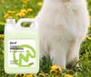 Pomeranian & Samoyed Whitening Shampoo for White Dogs