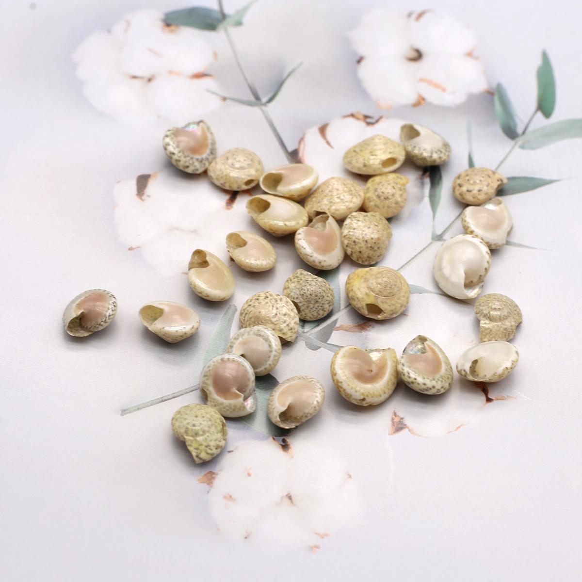 

20 шт./50 шт. Ювелирные изделия из ракушек, натуральный перламутровый кулон без отверстия для изготовления ювелирных изделий, платье-аквариум, костюм, пятнистый орнамент 100pcs/10x9mm