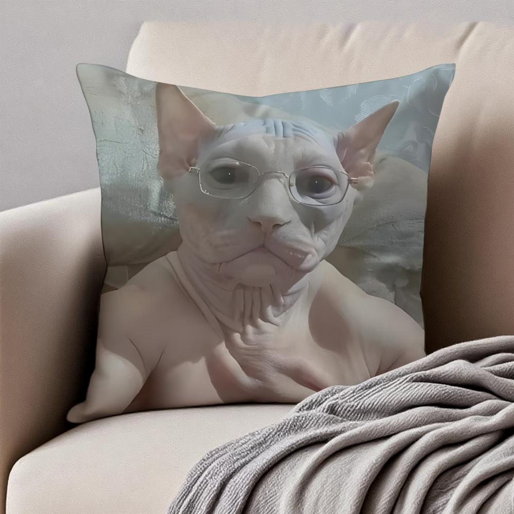 Meme Funny Pet Cat Funny Memes Cushion Cover Pillowcase Antidustmite Invisible Zipper Short Plush Sofa Cushion