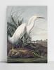 Canvas Painting White Bird Wetland Swamp