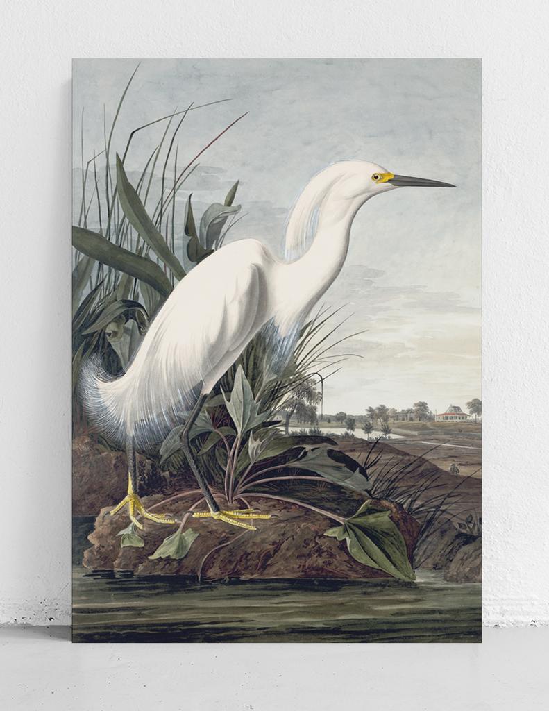 Canvas Painting White Bird Wetland Swamp