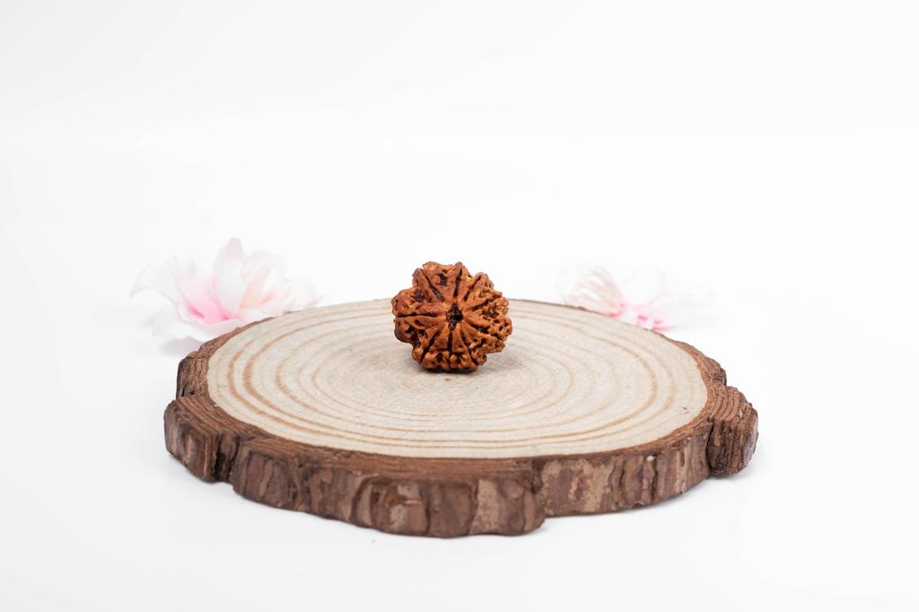 Natural 9 Mukhi Rudraksha Bead – Nepali Origin | Powerful Bead for Durga Blessings, Fear Removal, Vitality & Energy Shield | Organic & Lab Certified