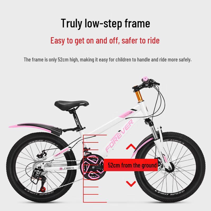 Permanent Youth 24-Speed Mountain Bike