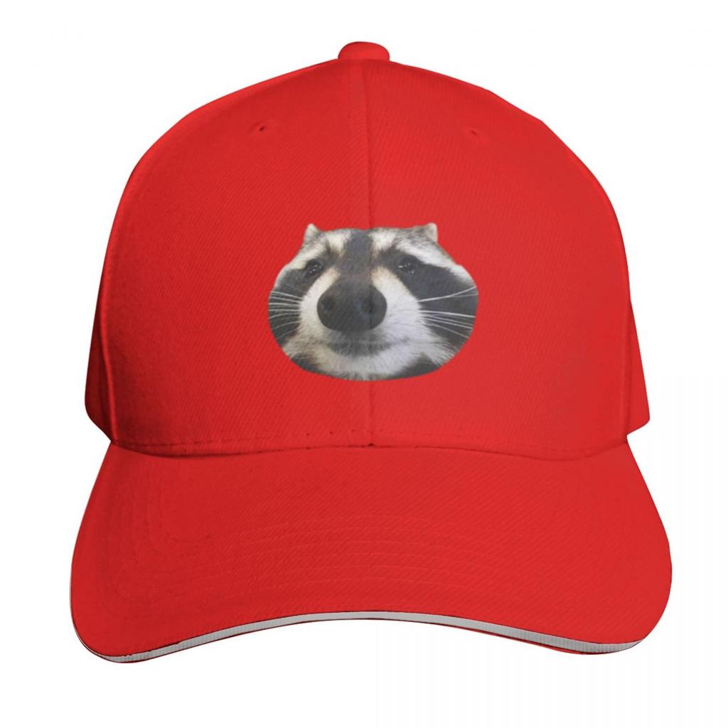 Funny Boy Raccoon Set Meme Pack () Baseball Cap Golf Hat Dropshipping Hat Luxury Brand Sun Hat Hats For Women Unisexs