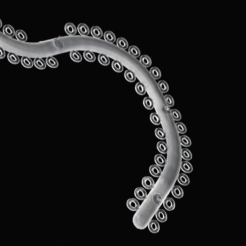 S shape Oral Separating Ligature Ties Elastic Separators Circle Rubber Ring 10sticks Transparent