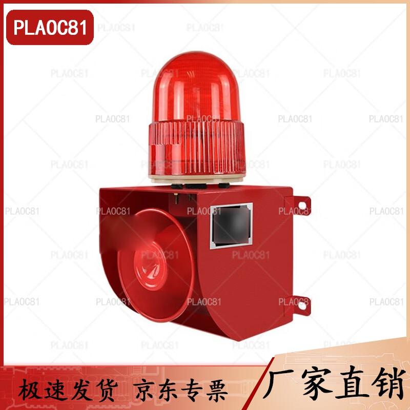 PLAOC81 Audio-Visual Alarm