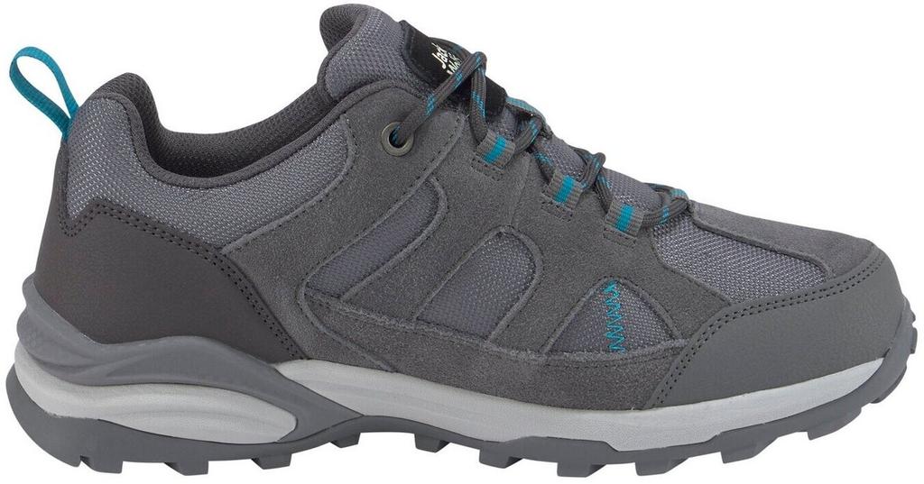 Hiking Shoes Jack Wolfskin TRAIL HIKER TEXAPORE LOW W Hiking Shoe Waterproof Grey
