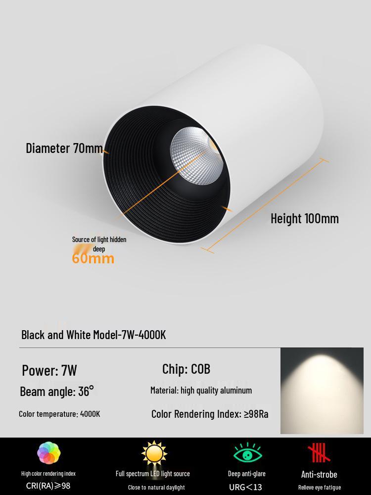 

Round Surface-Mounted Downlight Spotlight for Ceiling - No Hole, Perfect for Entryways and Bedrooms