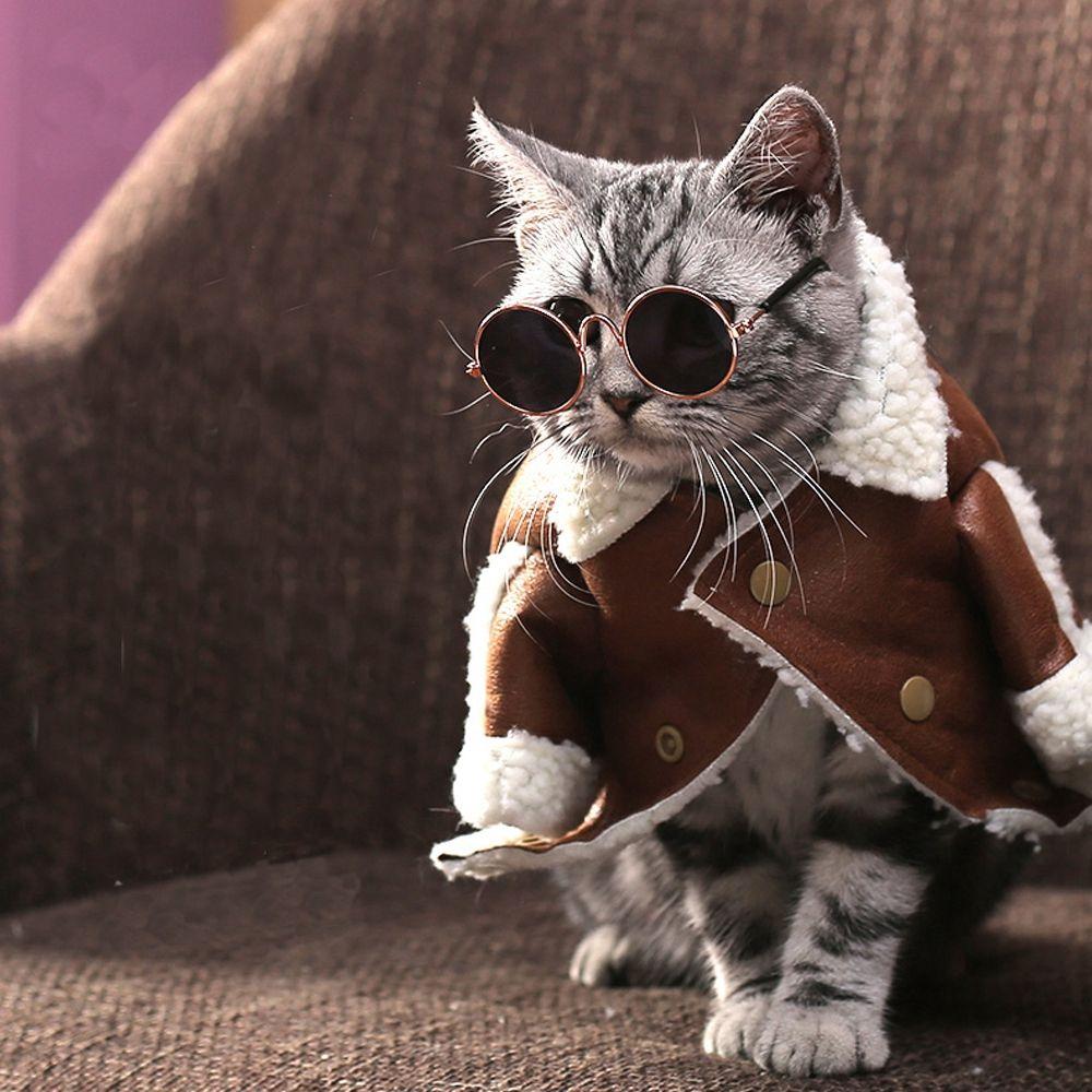 For Little Dog Cat Photos Props Trend Toys Pet Sunglasses Eye-wear Cat Glasses Reflection Glasses