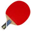 Double Fish 5-Star Penhold Table Tennis Racket