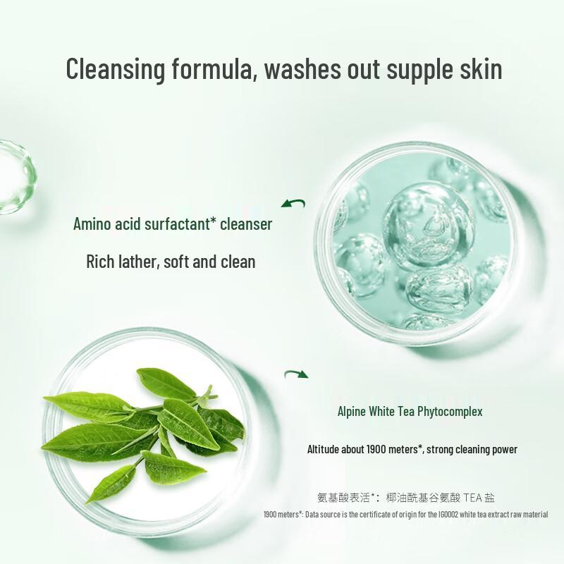 DR PLANT High Mountain White Tea Amino Acid Cleansing Foam