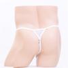 Sissy Lingerie Men Long Penis Sheath Underwear Mesh Transparent Elephant Nose Panties Sexy Hollow Male G-String T-Back Thongs