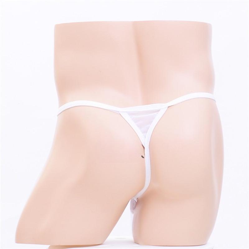 Sissy Lingerie Men Long Penis Sheath Underwear Mesh Transparent Elephant Nose Panties Sexy Hollow Male G-String T-Back Thongs