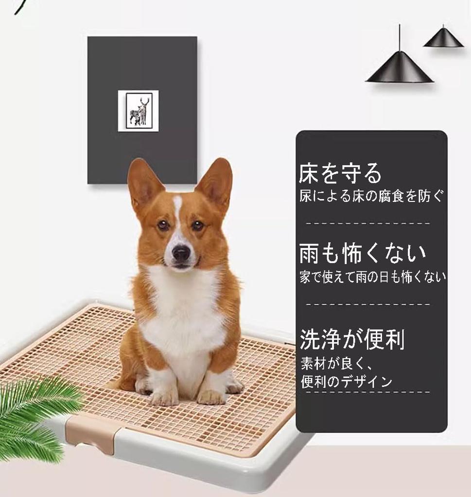 Bac à litière pour chien 65X52CM Toilettes pour animaux 60kg Grand bac pour chien Large chien Facile à nettoyer Bac antibactérien Boîte Blanc (65X52X4.5CM, Café)