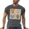 Australian Animals Tshirt Unisex T Shirt Graphic T Shirts For Unisex Graphic Vintage Unisex T Shirt Cotton High Quality Tshirt